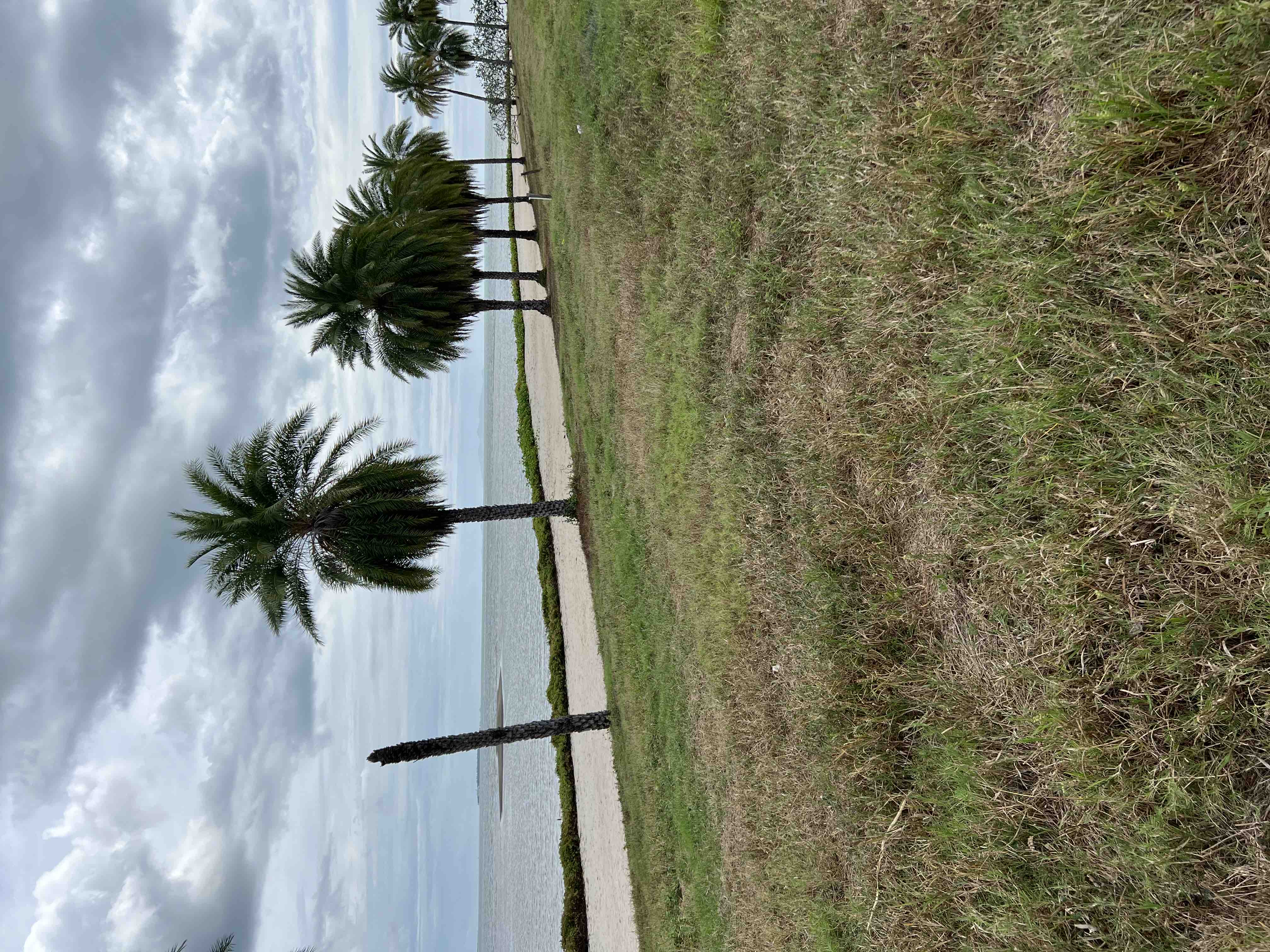 FREEHOLD BEACHFRONT LOT FOR YOUR FIJI DREAM HOME, One Agency Bayshore ...